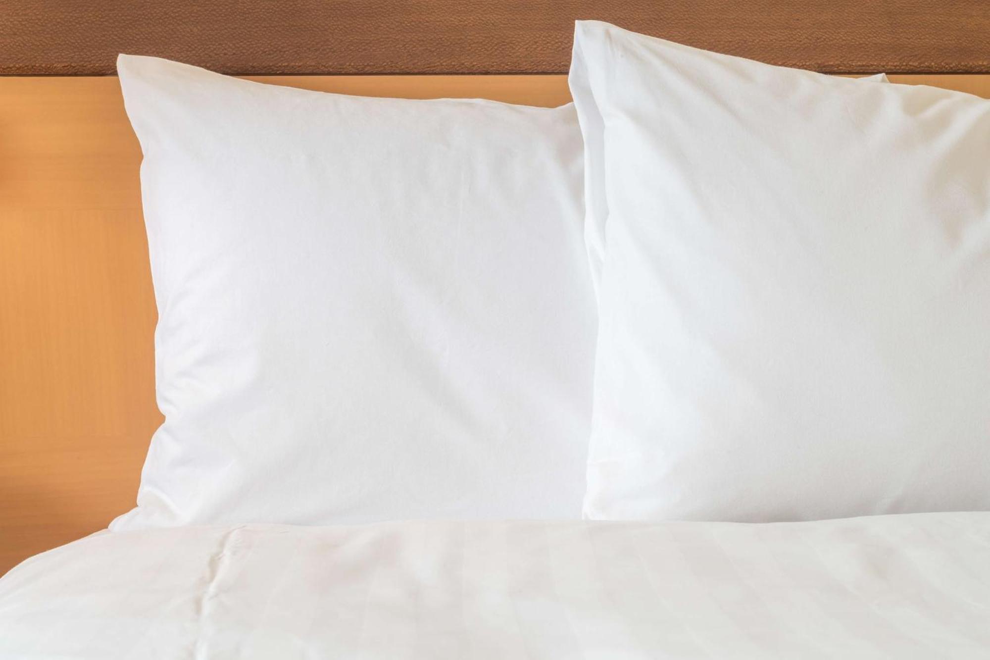 Holiday Inn Chicago O'Hare - Rosemont By Ihg Extérieur photo